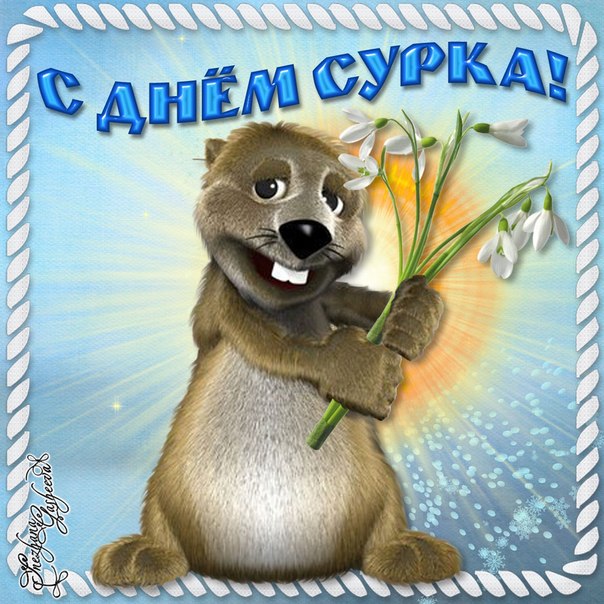 Открытка Открытки с днем сурка - Открытка с сурком и подснежниками | Красивая открытка #33