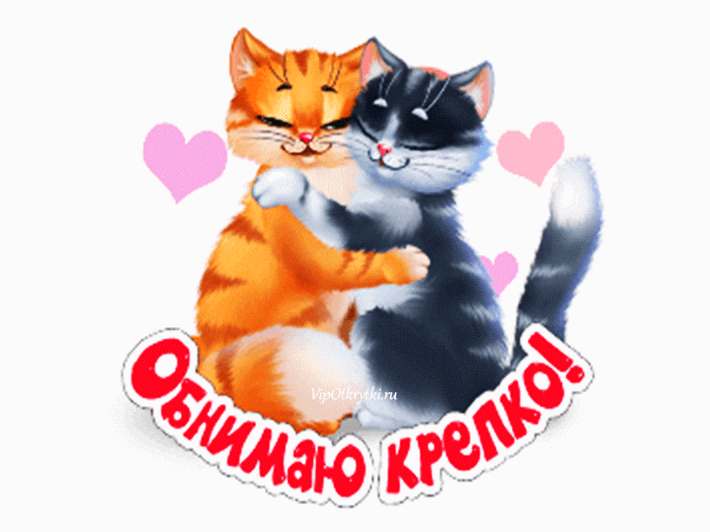 Открытка Открытки обнимаю - Открытка с котами: рыжий и черный обнимаются | Красивая открытка #1