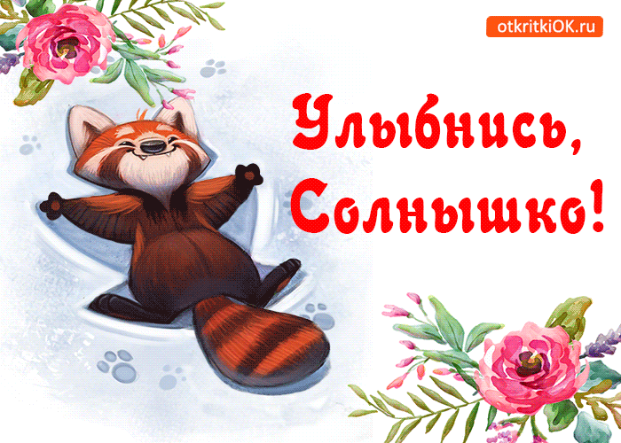 Открытка Улыбнись - Панда в ванной: забавная открытка с цветами | Красивая открытка #32
