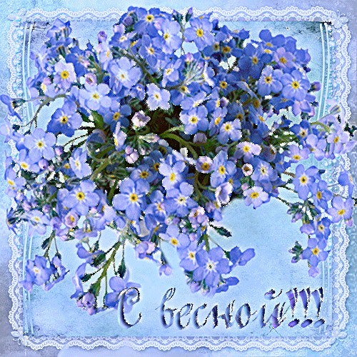 Открытка Открытки весенняя пора - Открытка с голубыми васильками | Красивая открытка #172