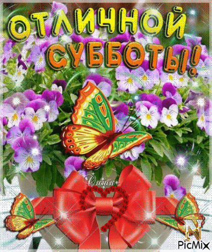Открытка Открытки на субботу - Открытка с цветами и бабочками | Красивая открытка #6
