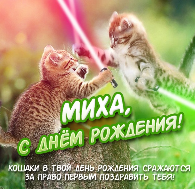 Открытка Открытки с именем Михаил  - С Днём Рождения! Открытка с котиками | Красивая открытка #14