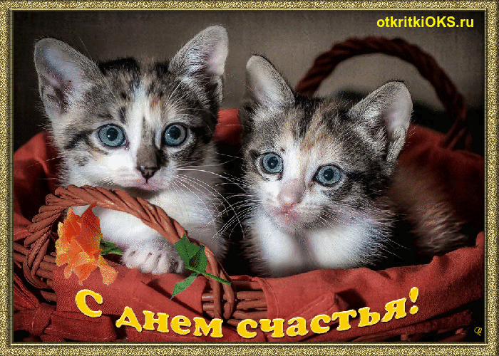 Открытка с днём счастья - Открытка с котятами в корзине  С днем рождения | Красивая открытка #28
