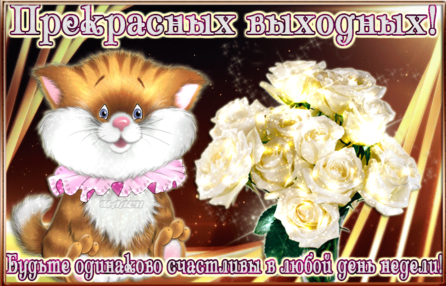 Открытка Открытки хороших выходных - Открытка с котенком и розами | Красивая открытка #250
