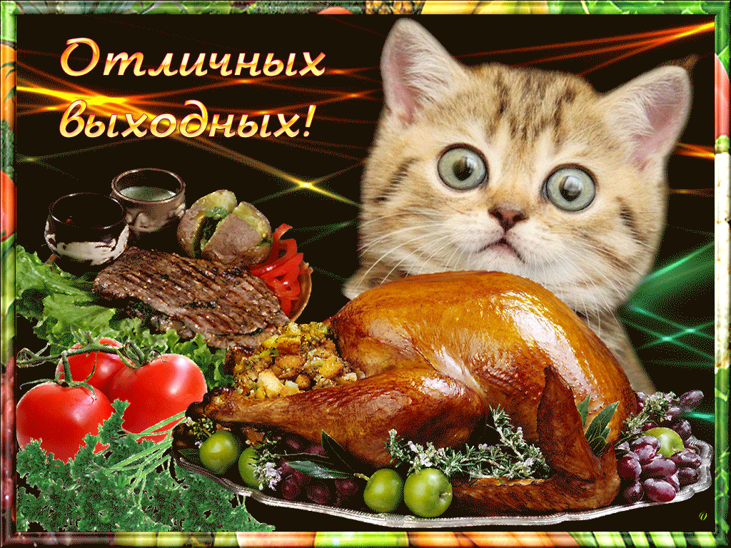 Открытка Открытки хороших выходных - Открытка с индейкой и котом: Новогоднее поздравление | Красивая открытка #18