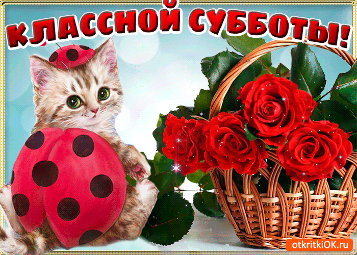 Открытка суббота - Котенок с красным шариком и розами: открытка | Красивая открытка #5