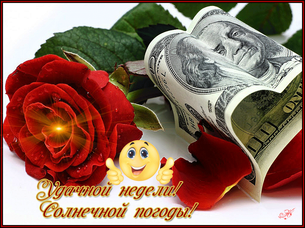 Открытка Открытки желаю удачи - Красная роза и деньги: Поздравительная открытка | Красивая открытка #53