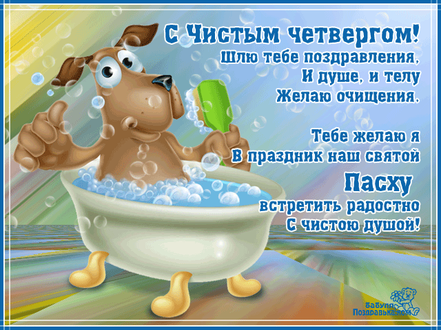 Открытка Четверг - Собака в ванной с пеной: открытка с поздравлением | Красивая открытка #46