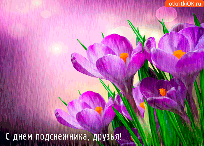 Открытка День подснежника - Открытка с фиалками: нежные цветы на фиолетовом фоне | Красивая открытка #5