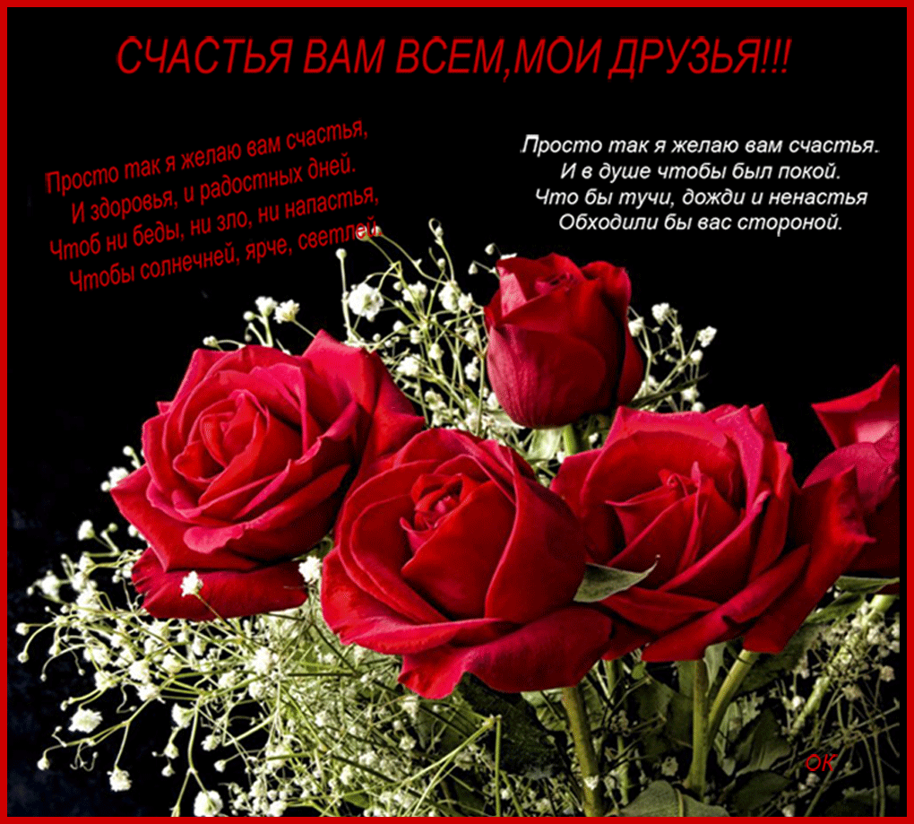 Открытка О дружбе - Букет алых роз: Красивая открытка с цветами | Красивая открытка #157