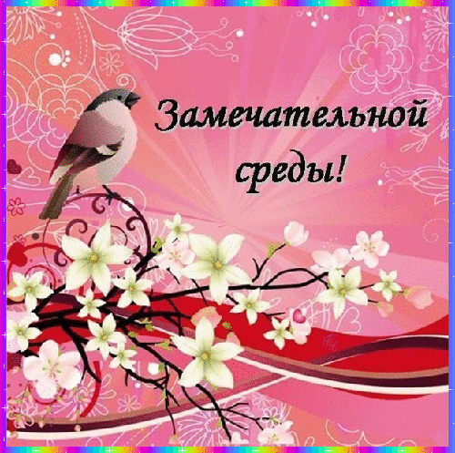 Открытка Открытки на среду - Птица на цветущей ветке: открытка с весенним настроением | Красивая открытка #104