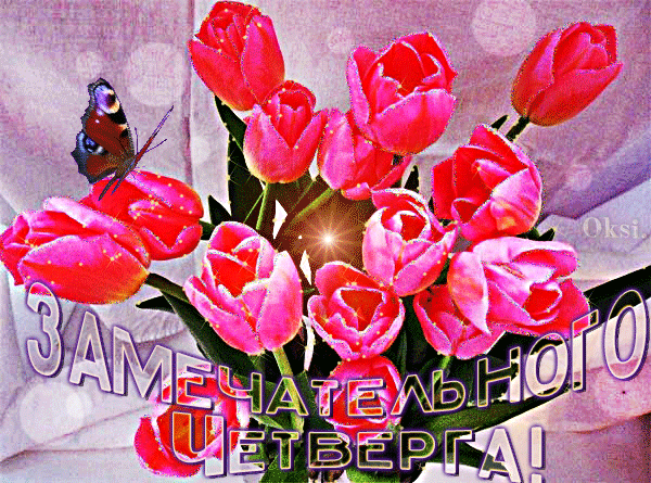 Открытка Четверг - Букет розовых тюльпанов и бабочка | Красивая открытка #28