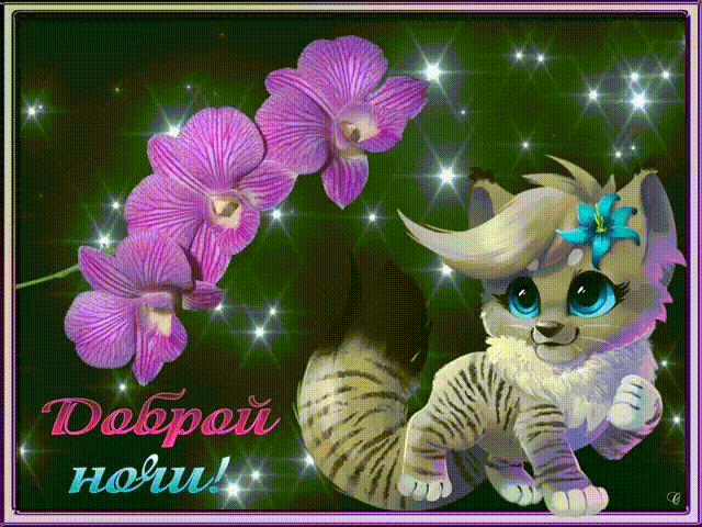 Открытка Спокойной ночи - Открытка с котенком и орхидеями | Красивая открытка #57
