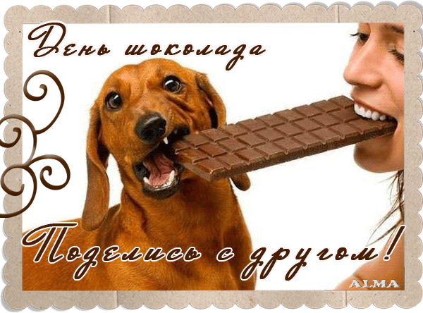 Открытка День шоколада - Открытка: Собака и шоколад. Приветствие! | Красивая открытка #46
