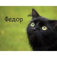 Открытка Открытки с именем Федор - Черный кот на зеленом фоне. Открытка с котом. | Красивая открытка #136