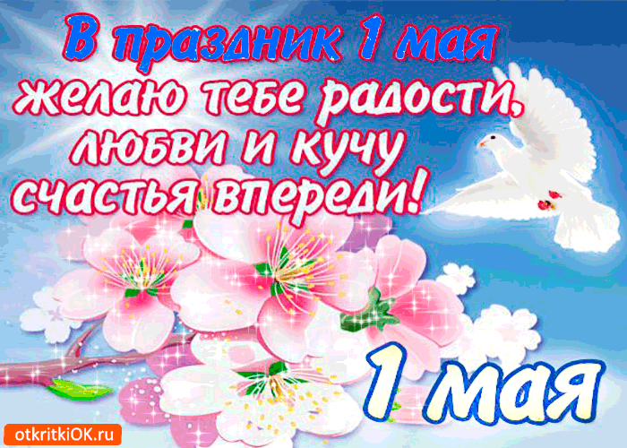 Открытка открытки на 1 мая - Открытка с цветами и голубем - поздравления | Красивая открытка #47