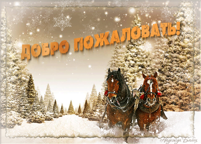 Открытка Открытки добро пожаловать - Зимняя открытка с лошадьми и санями | Красивая открытка #31