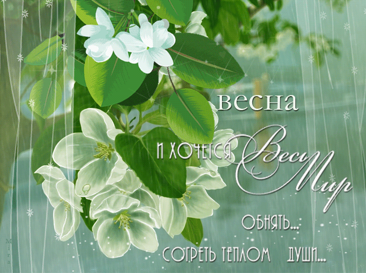 Открытка С жасмином - Открытка «Весна»: Нежные белые цветы и весеннее настроение | Красивая открытка #11