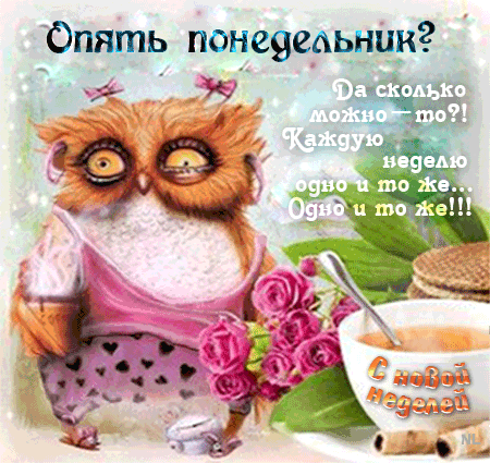 Открытка Открытки на понедельник - Сова с чаем и цветами: Открытка с добрым утром | Красивая открытка #131