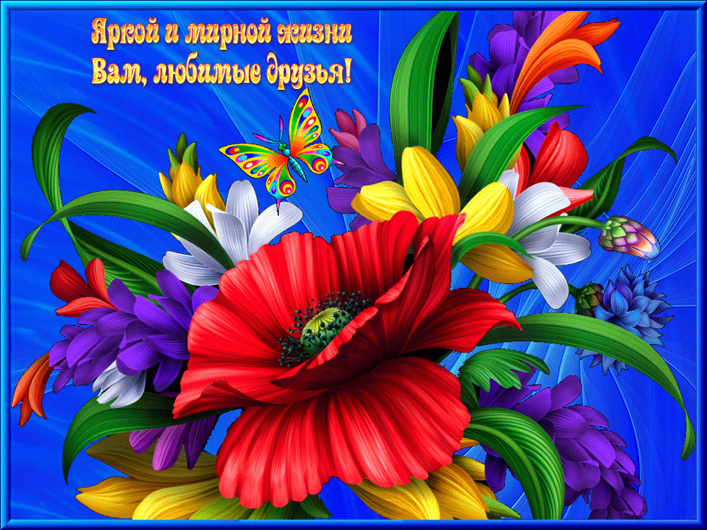 Открытка С пожеланиями другу/подруге - Яркая открытка: красный мак, цветы и бабочка | Красивая открытка #1