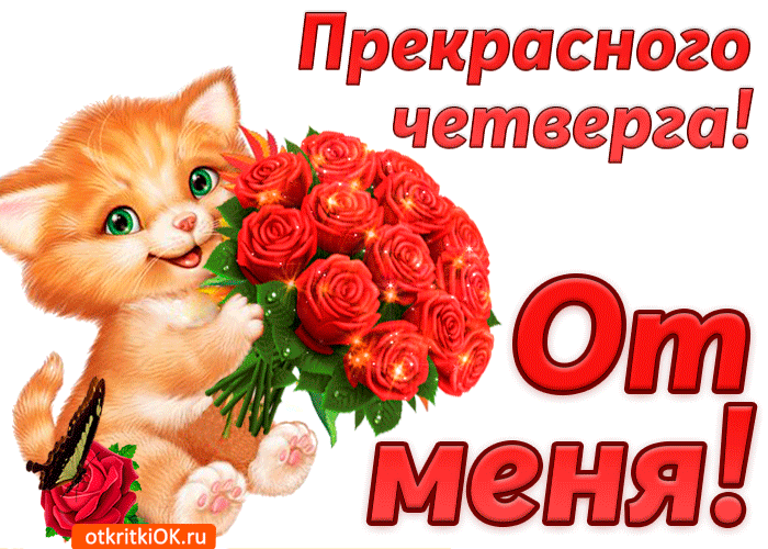 Открытка С четвергом - Открытка с котенком и розами | Красивая открытка #3
