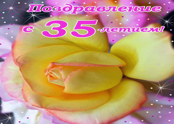 Открытка Открытки на 35 лет - Розовый бутон цветка на открытке | Красивая открытка #78