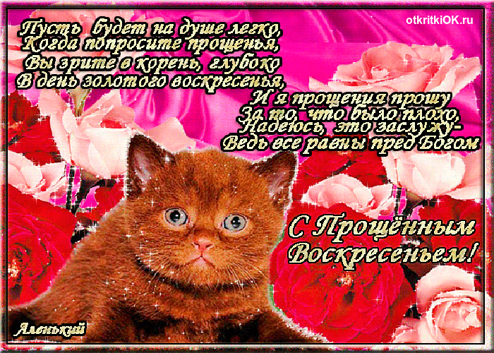 Открытка Прощеное воскресенье - Открытка с котенком на 8 марта  С днем Восьмого Марта! | Красивая открытка #98