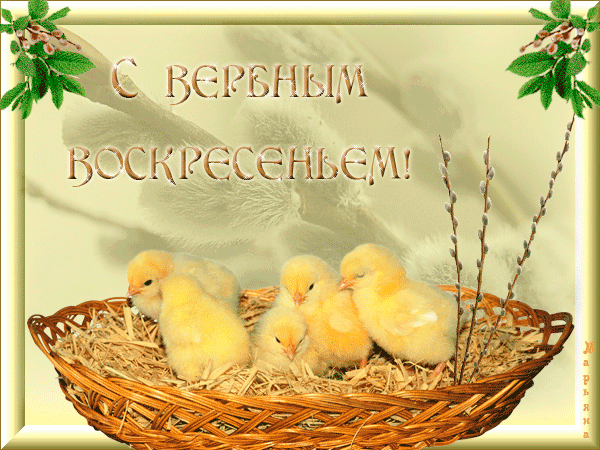 Открытка С вербным воскресеньем - Открытка с цыплятами в плетёной корзине | Красивая открытка #288