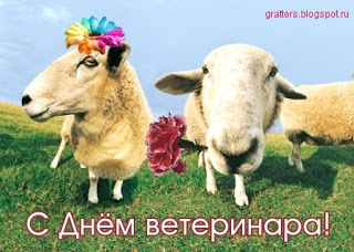 Открытка Открытки с днем ветеринара - Открытка с овцами: С Днём ветеринара! | Красивая открытка #16