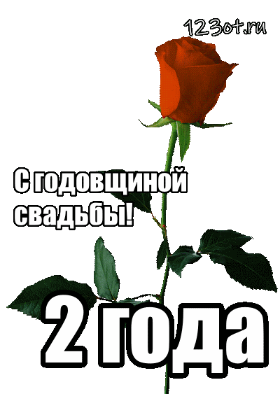 Открытка Открытки на Бумажную свадьбу 2 года - Открытка с красной розой  С годовщиной свадьбы | Красивая открытка #101