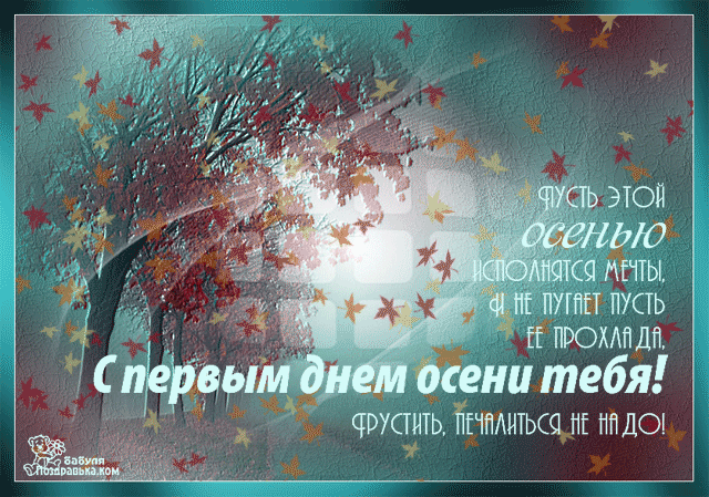 Открытка Первый день осени - Открытка с осенним пейзажем: дерево в красных листьях | Красивая открытка #96