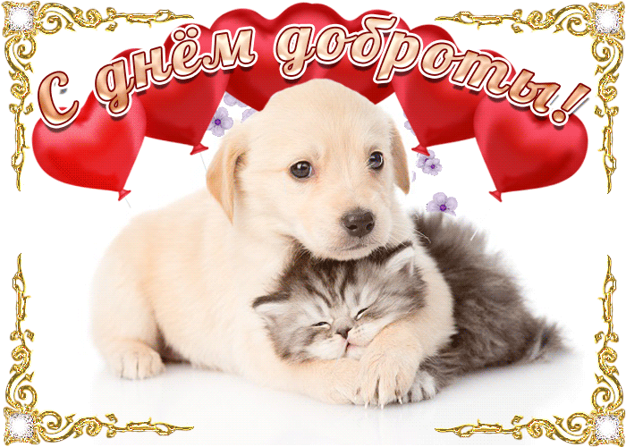 Открытка День доброты - Открытка с щенком и котенком | Красивая открытка #55