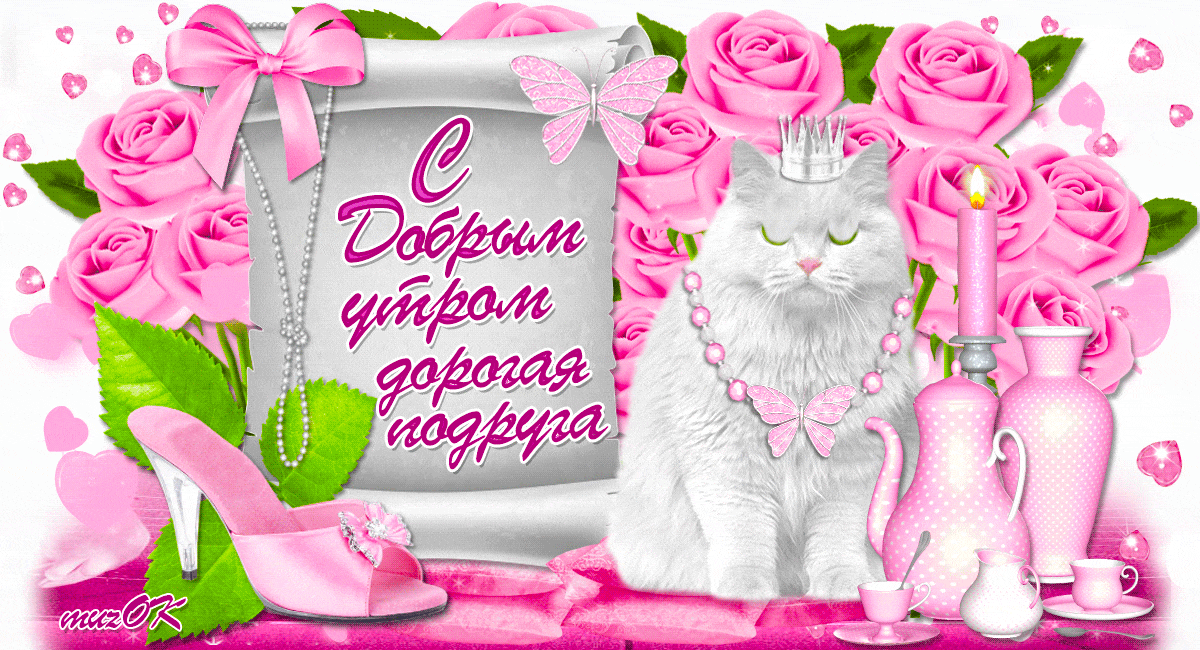 Открытка Открытки доброе утро подруга - Открытка с котиком и розами  милые поздравления | Красивая открытка #24