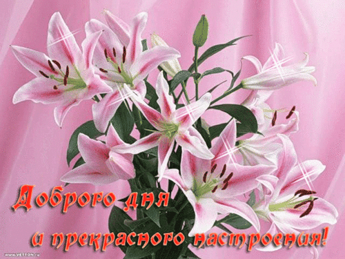 Открытка Хорошего дня - Открытка с лилиями: Доброго дня и прекрасного настроения! | Красивая открытка #165