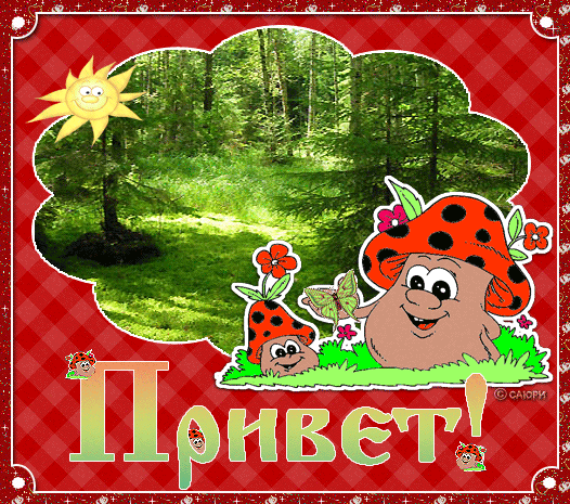 Открытка С приветствием - Открытка "Привет": милые божьи коровки и лес | Красивая открытка #15