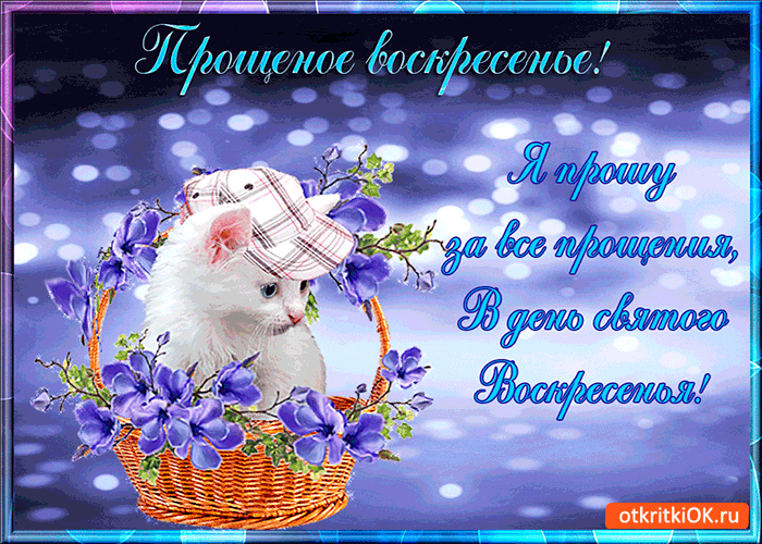 Открытка Открытки с Прощеным Воскресеньем - Котенок с корзиной цветов: открытка с днем рождения | Красивая открытка #40