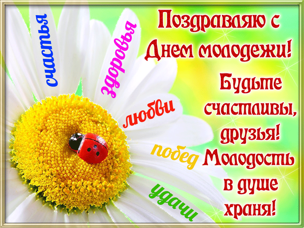 Открытка День молодежи - Открытка с цветами и божьей коровкой | Красивая открытка #15