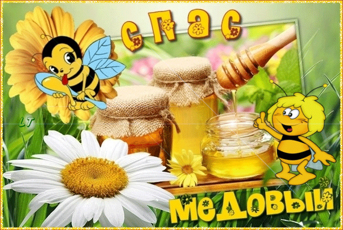 Открытка Открытки с Медовым Спасом - Открытка с пчелкой и банкой мёда | Красивая открытка #94