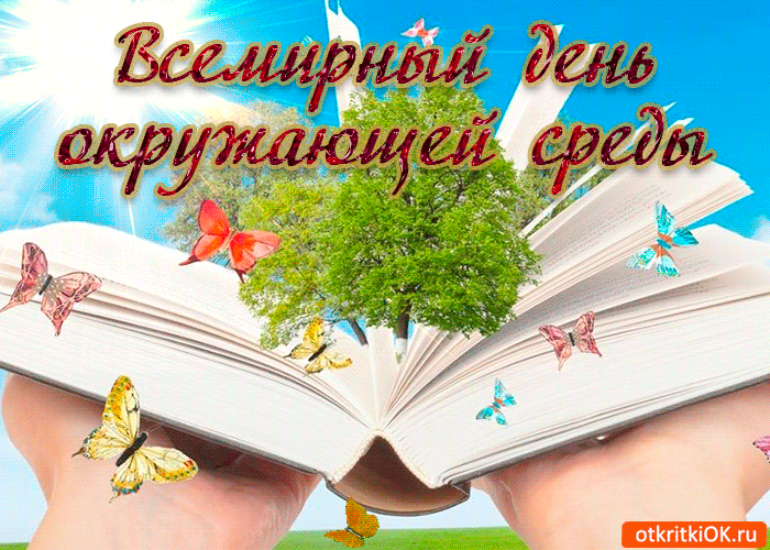 Открытка Открытки с днем эколога - Открытка с книгой и бабочками  купить онлайн | Красивая открытка #31