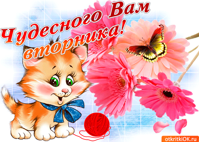 Открытка Открытки на вторник - Открытка с котенком и клубком: милая картинка | Красивая открытка #68