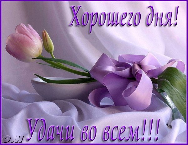 Открытка добрый день - Открытка с фиалками | Красивая открытка #54