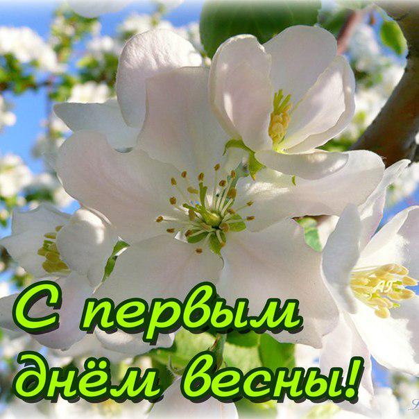 Открытка  С первым днем весны - Цветущая вишня: нежная весенняя открытка | Красивая открытка #35