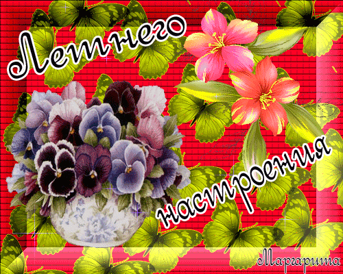 Открытка Хорошего лета - Открытка с фиалками и герберой | Красивая открытка #54
