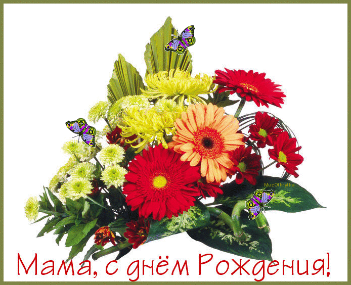 Открытка Открытки с Днем Рождения маме - Открытка с цветами: маки и хризантемы, бабочки | Красивая открытка #28