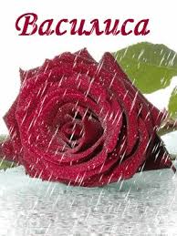 Открытка открытки с именем Василиса  - Красная роза на открытке с брызгами | Красивая открытка #9