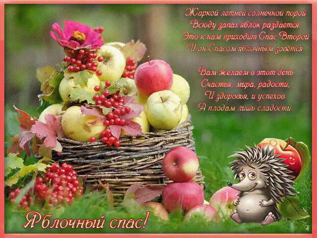 Открытка Яблочный спас - Открытка с яблоками и ежиком: поздравления с праздником | Красивая открытка #11
