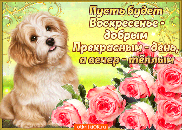 Открытка Выходные - Собака и розы: открытка с милым щенком | Красивая открытка #43