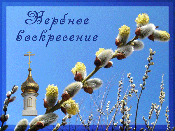 Открытка Вербное Воскресенье - Верба и церковь на фоне голубого неба | Красивая открытка #239