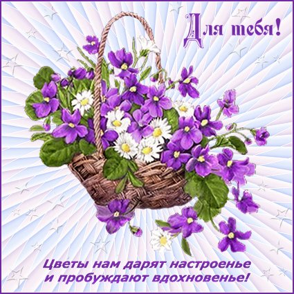 Открытка Просто так - Открытка с фиалками в корзине - поздравления | Красивая открытка #26
