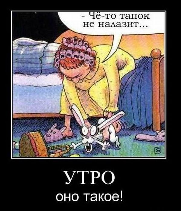 Открытка Открытки с приколами доброе утро - Утро: Женщина в халате, кот и тапочки | Красивая открытка #23